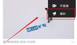 头条爆料可以盗用视频吗,盗用视频行为解析与警示