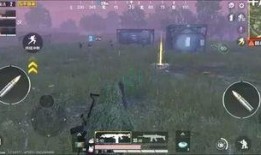 最新版本爆料和平精英,全新玩法与优化，带你领略极致战斗体验